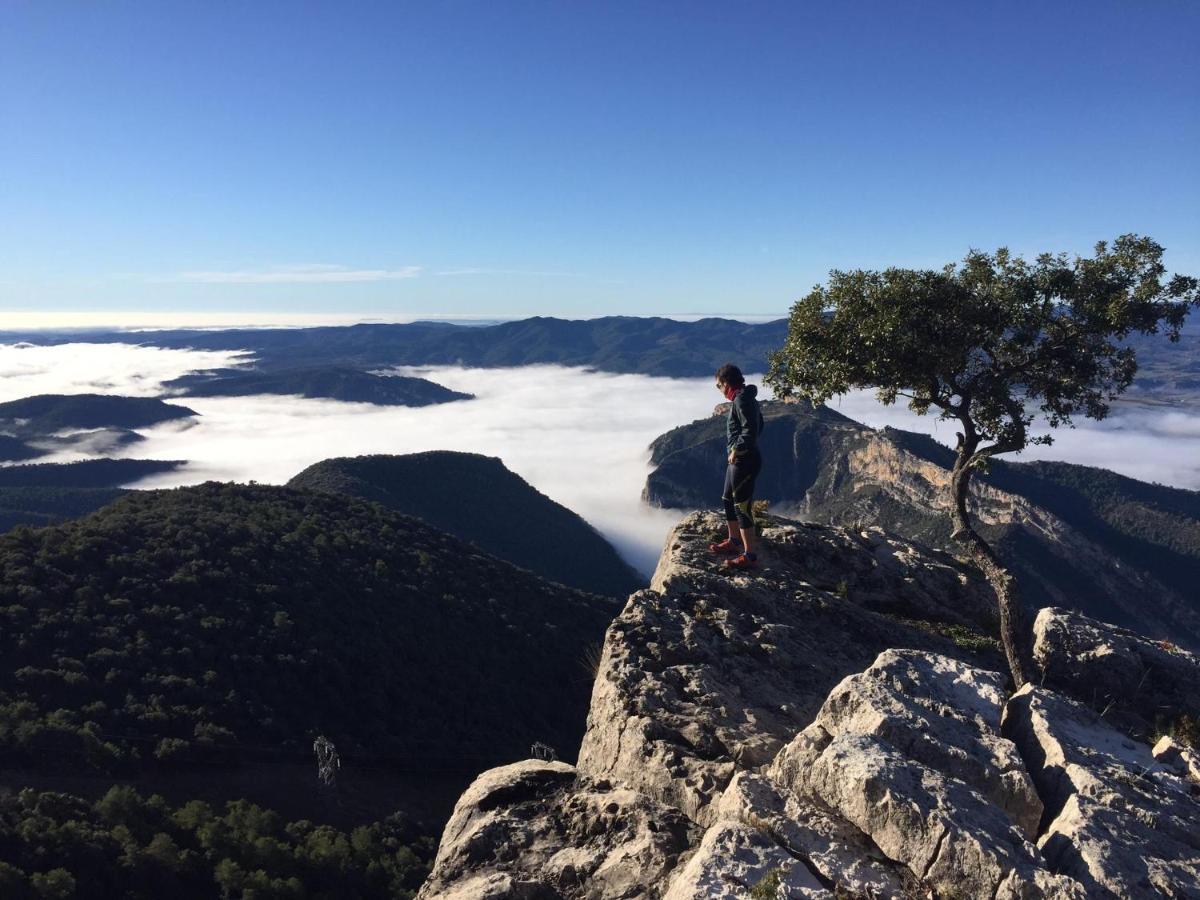 Apartamento Cinca Pirineo En Ainsa Luaran gambar