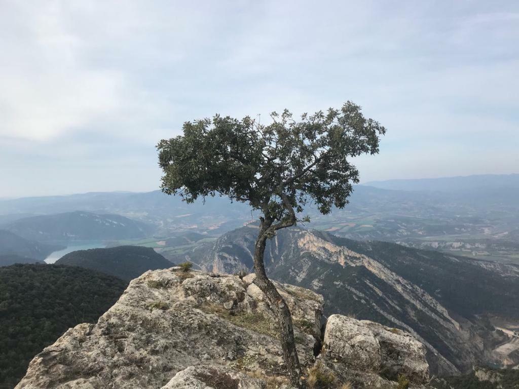 Apartamento Cinca Pirineo En Ainsa Luaran gambar